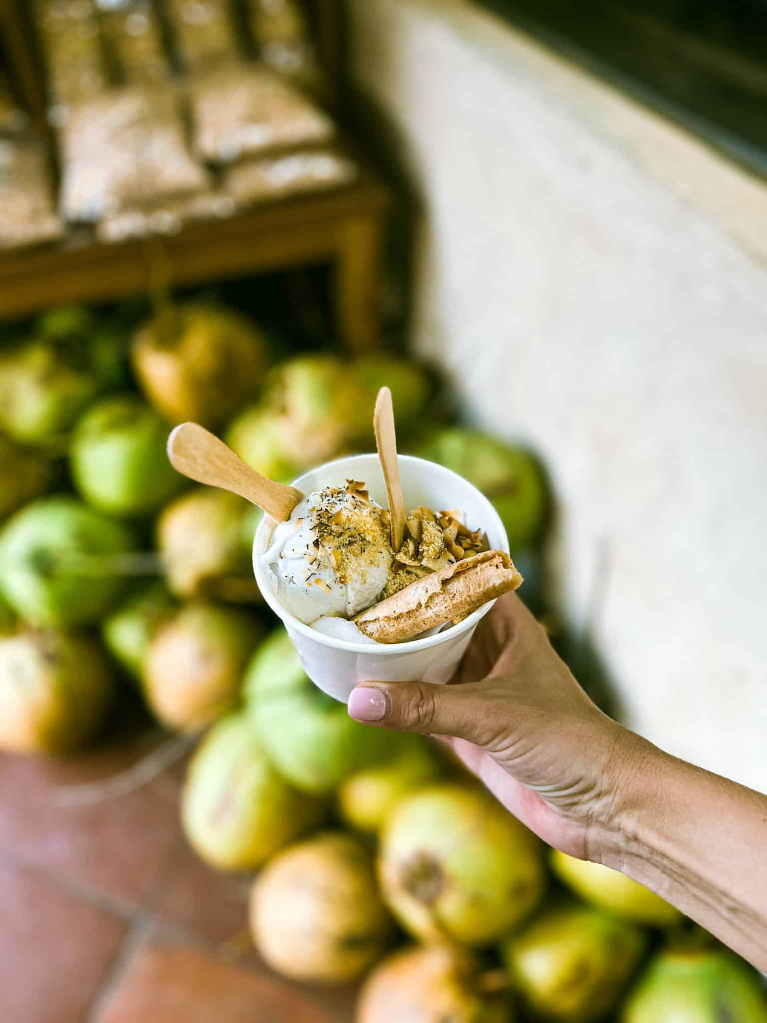 coconut ice cream Ubud Bali