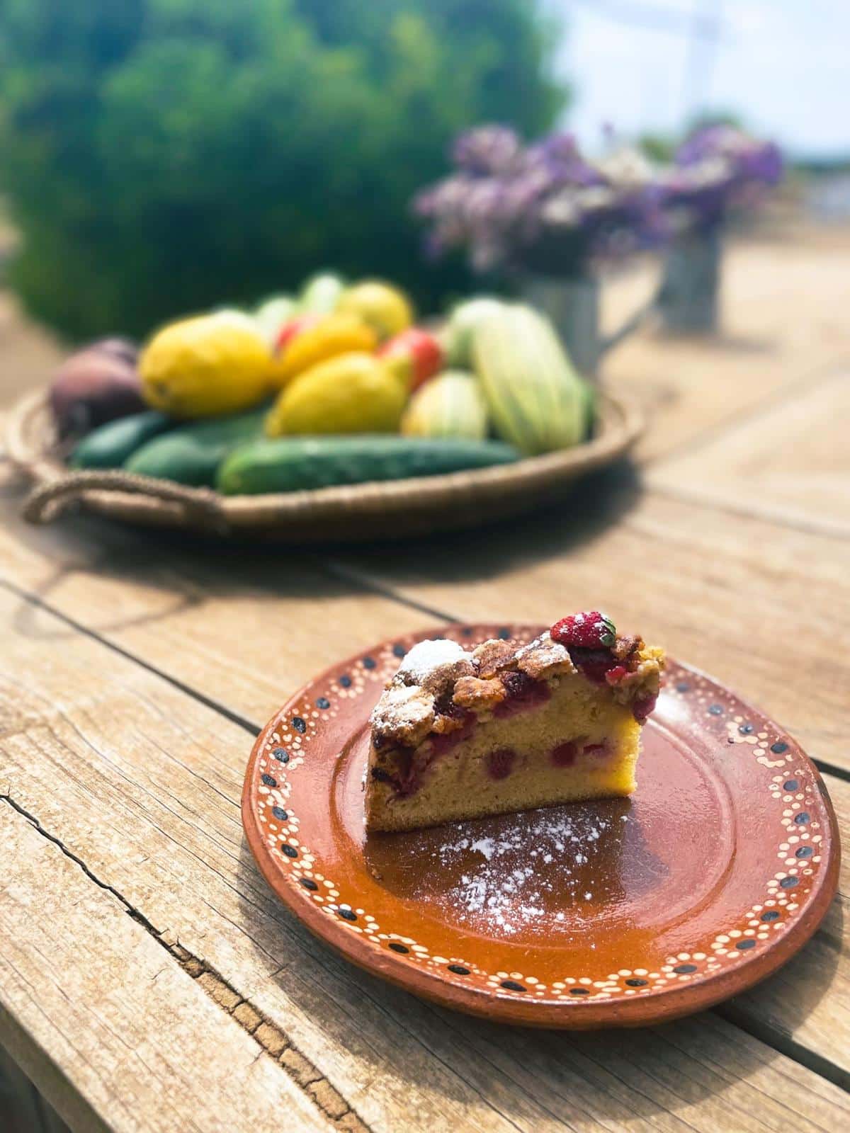 image3 organic farm Ibiza