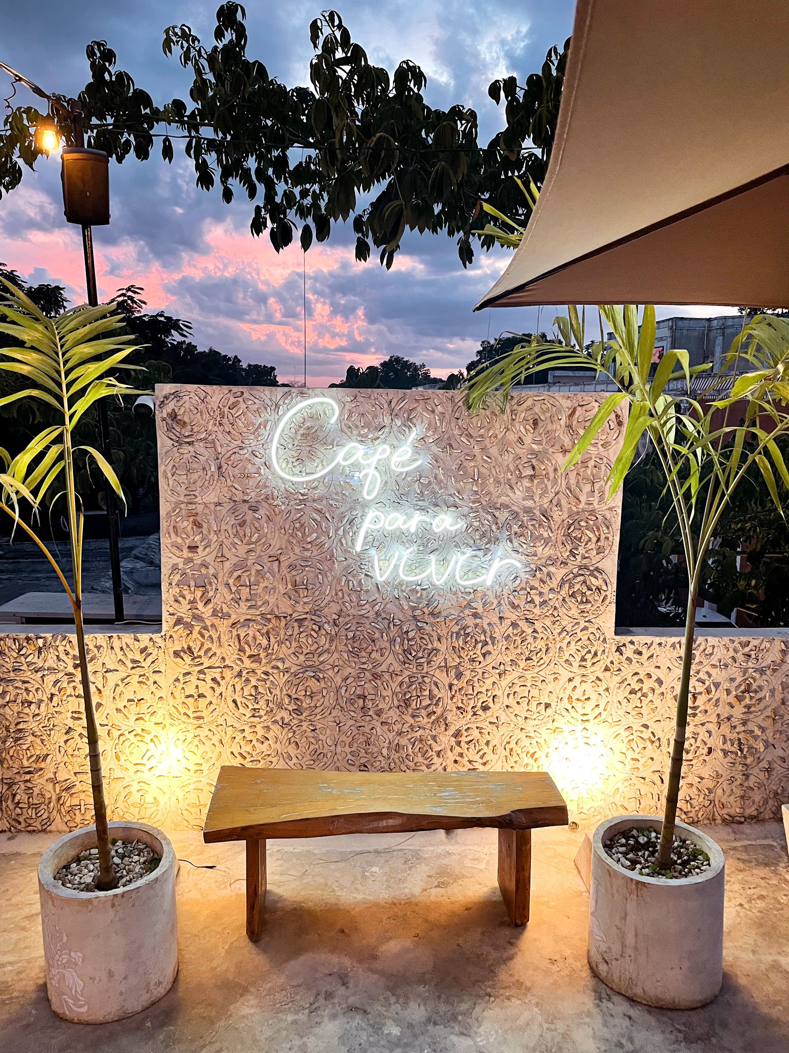 image3 best coffee Valladolid