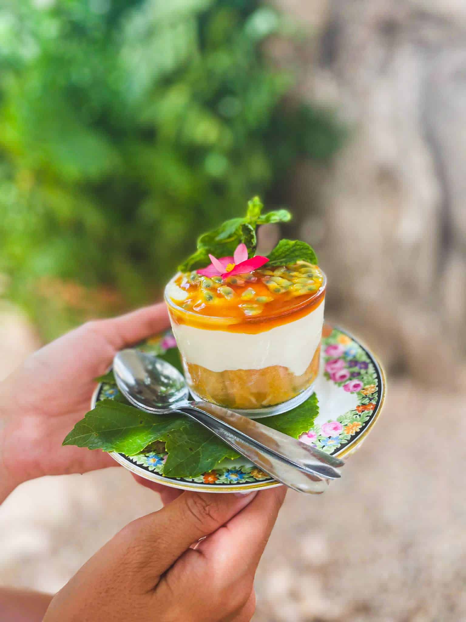 image9 lunch Ibiza La Paloma