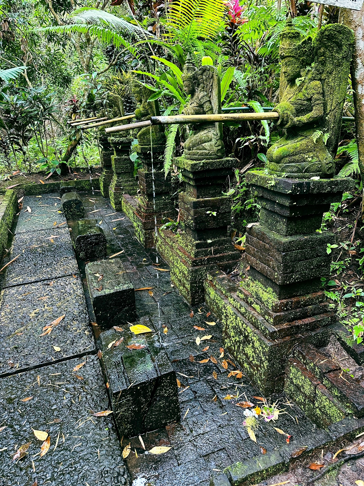15 Bali Silent Retreat