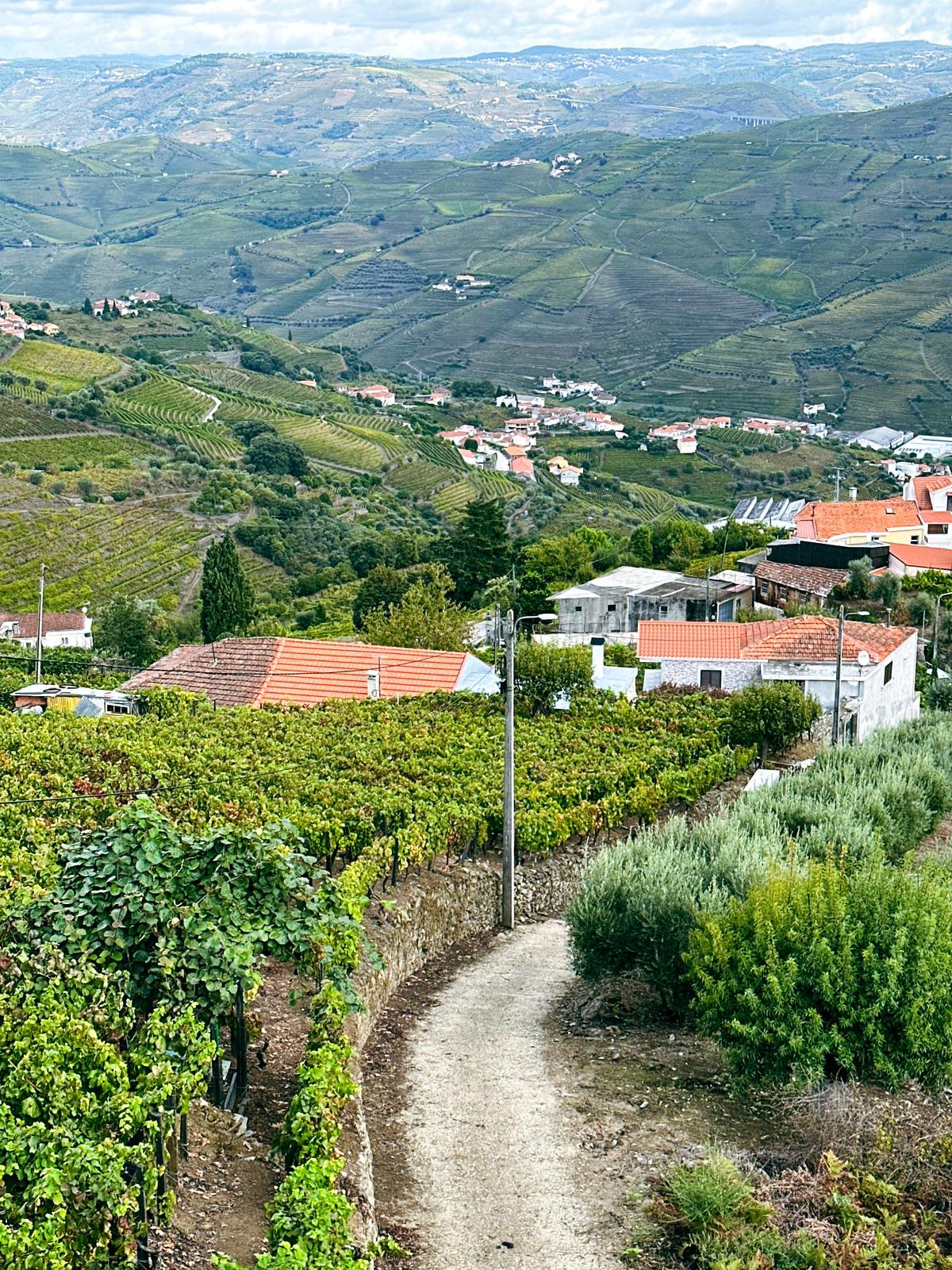 douro valley route